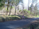 DSC01191