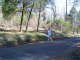 DSC01200