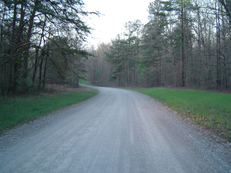 DSC01273