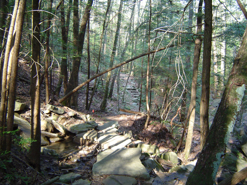 DSC01315