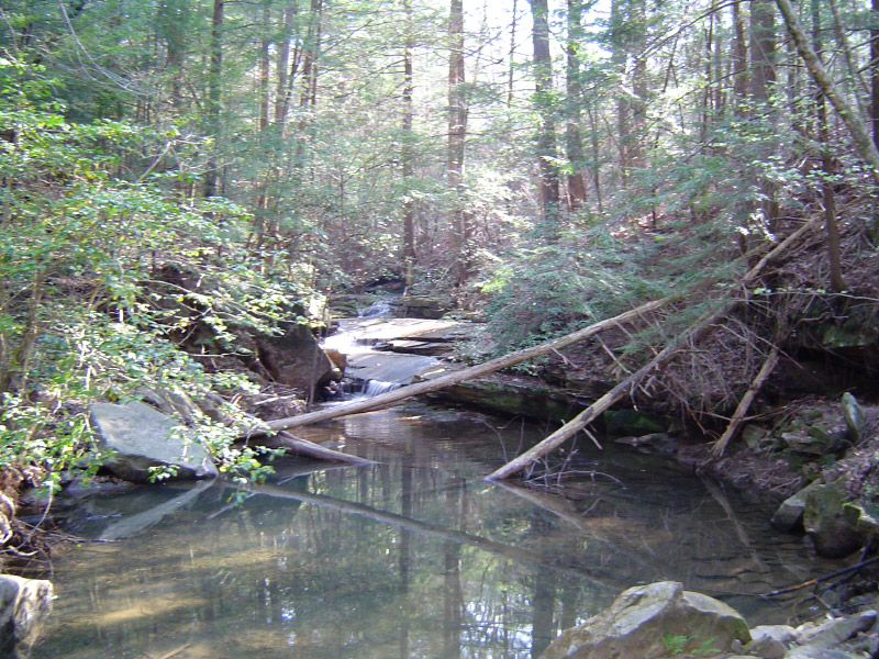DSC01316