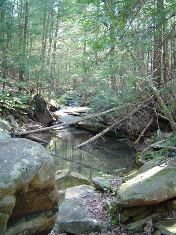 DSC01317